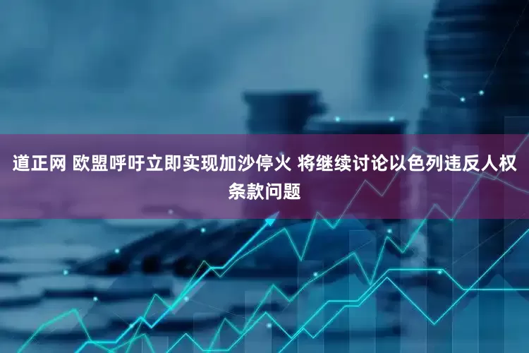 道正网 欧盟呼吁立即实现加沙停火 将继续讨论以色列违反人权条款问题
