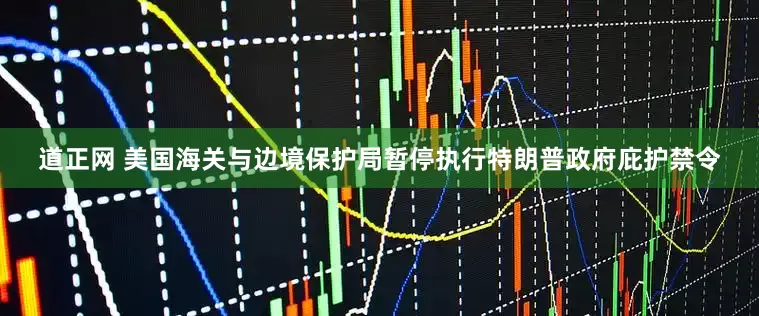 道正网 美国海关与边境保护局暂停执行特朗普政府庇护禁令