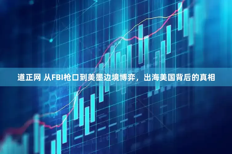 道正网 从FBI枪口到美墨边境博弈，出海美国背后的真相