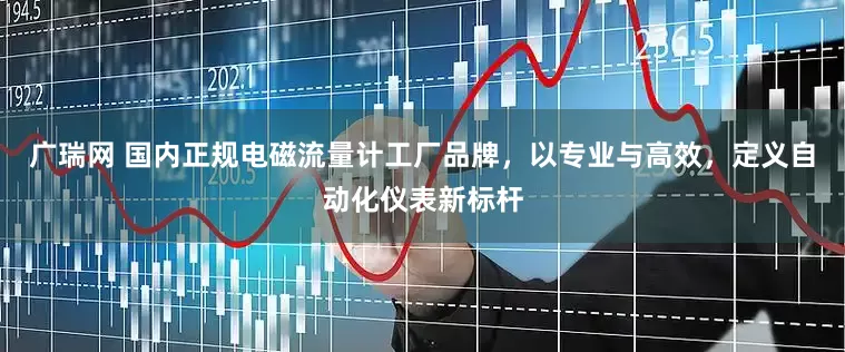 广瑞网 国内正规电磁流量计工厂品牌，以专业与高效，定义自动化仪表新标杆